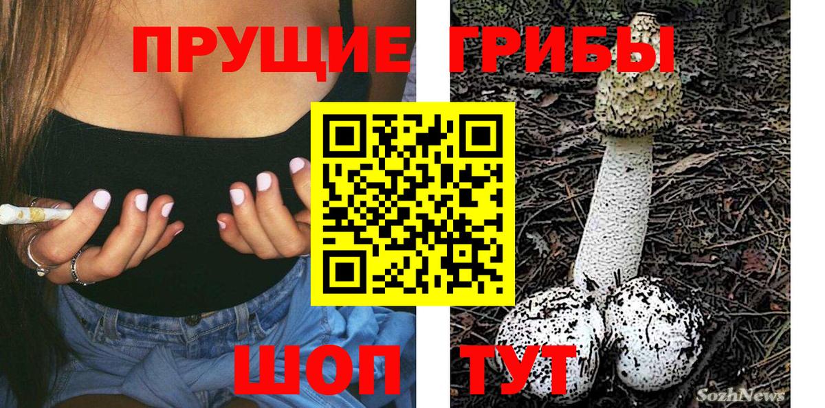 где продают   Галлюциногенные грибы Magic Shrooms  Новоалтайск  Вход с VPN  Псилоцибиновые грибы Cubensis 