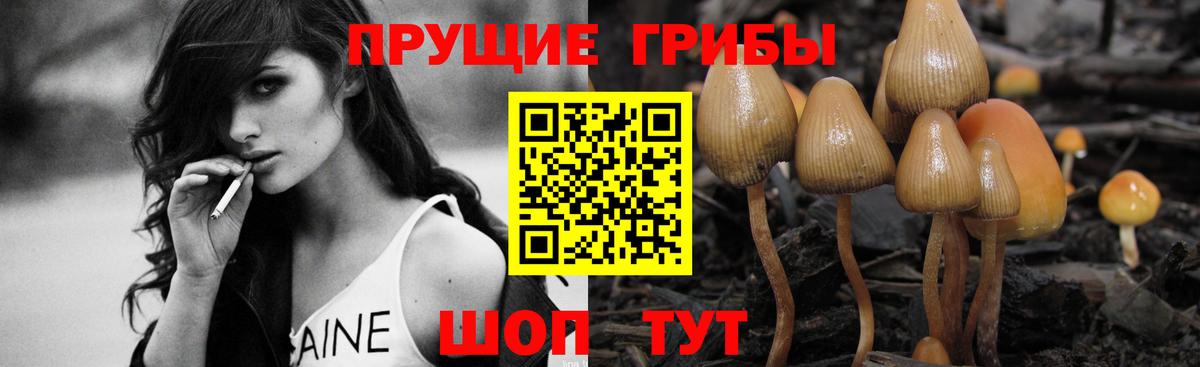 ГАШ  Новоалтайск  Кокаин  Меф   Вход с VPN  Каннабис  Конопля 